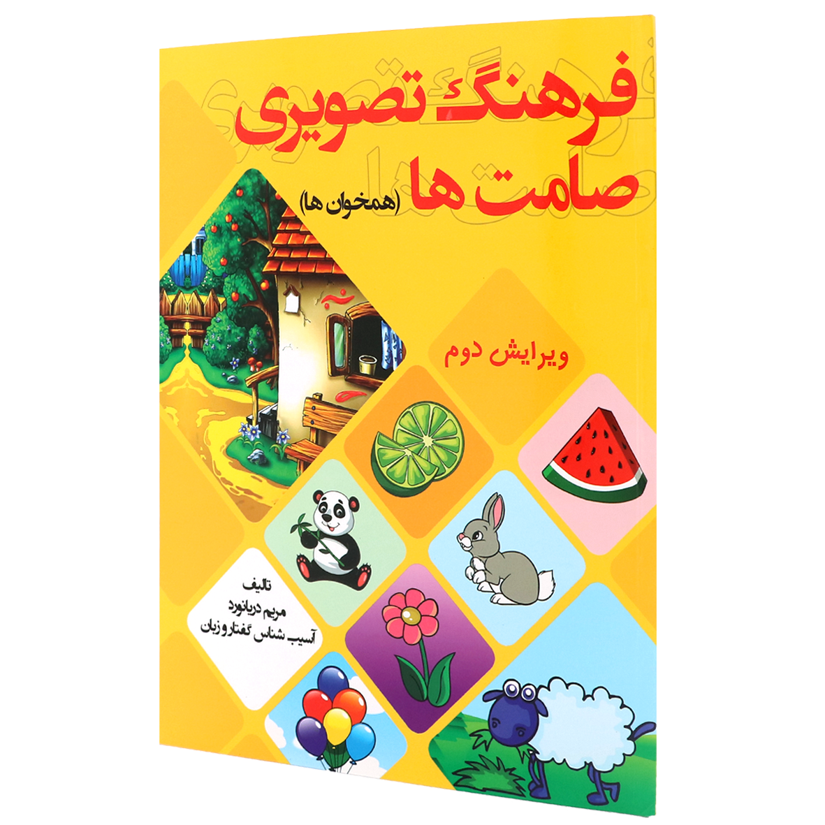 کتاب فرهنگ تصویری صامت‌ها (همخوان‌ها)