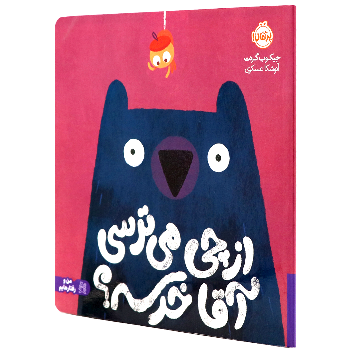 کتاب از چی می ترسی آقا خرسه