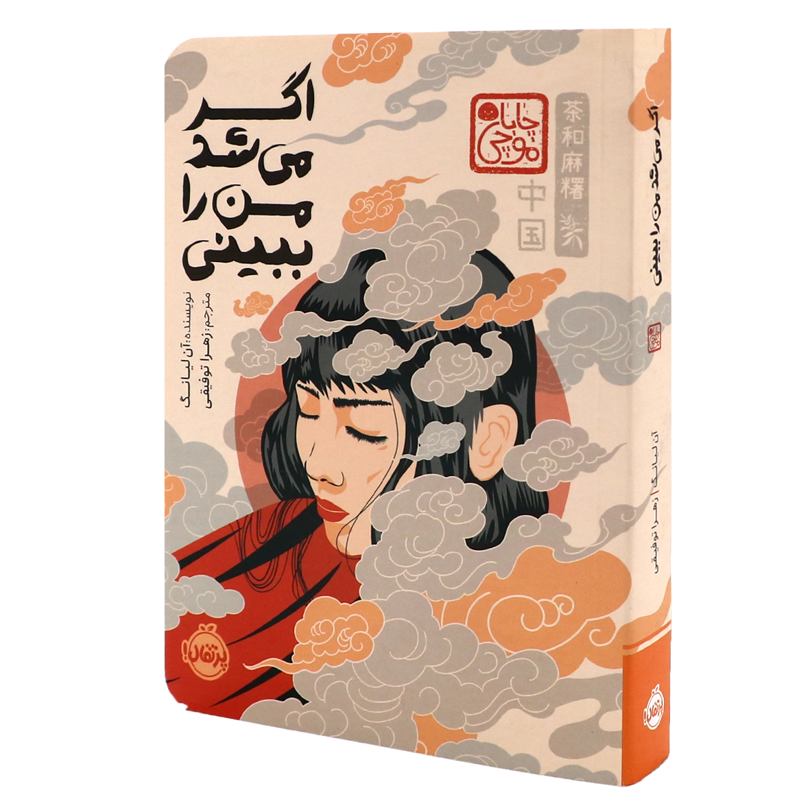 کتاب اگر می‌ شد من را ببینی