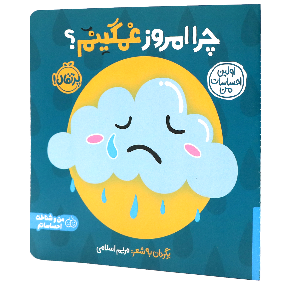 کتاب اولین احساسات من چرا امروز غمگینم؟