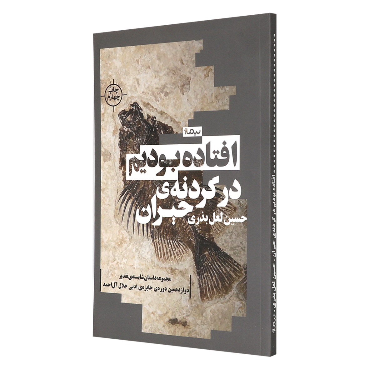 کتاب افتاده بودیم در گردنه حیران
