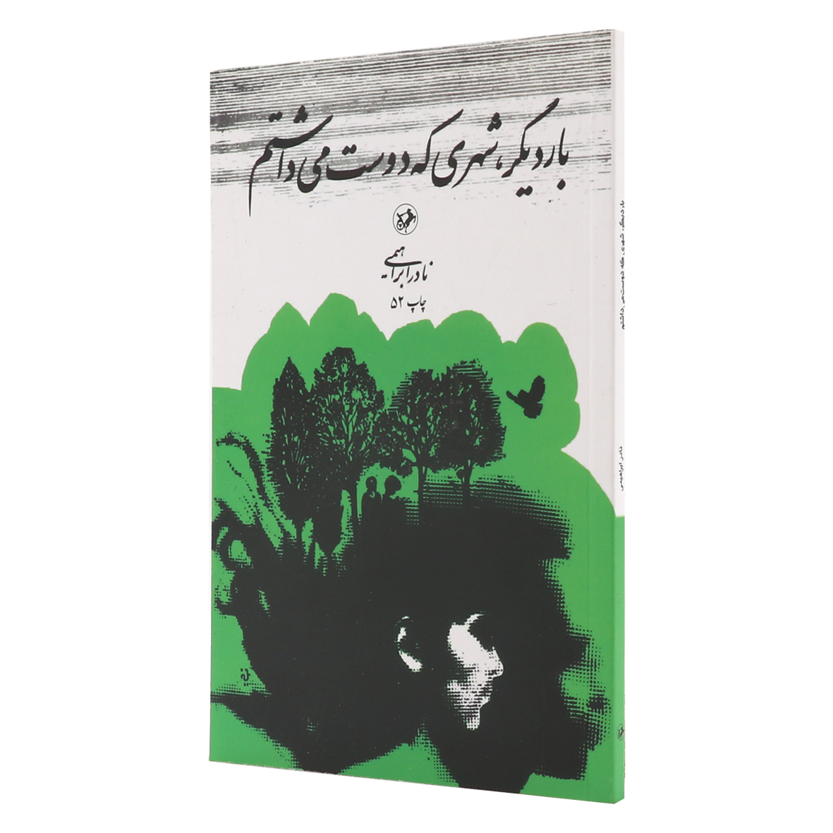 کتاب بار دیگر شهری که دوست می داشتم
