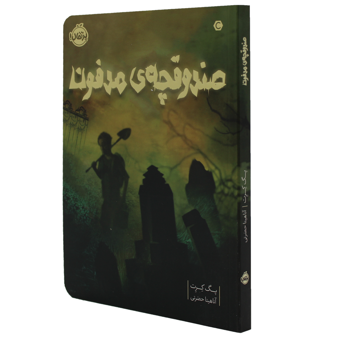 کتاب صندوقچه مدفون