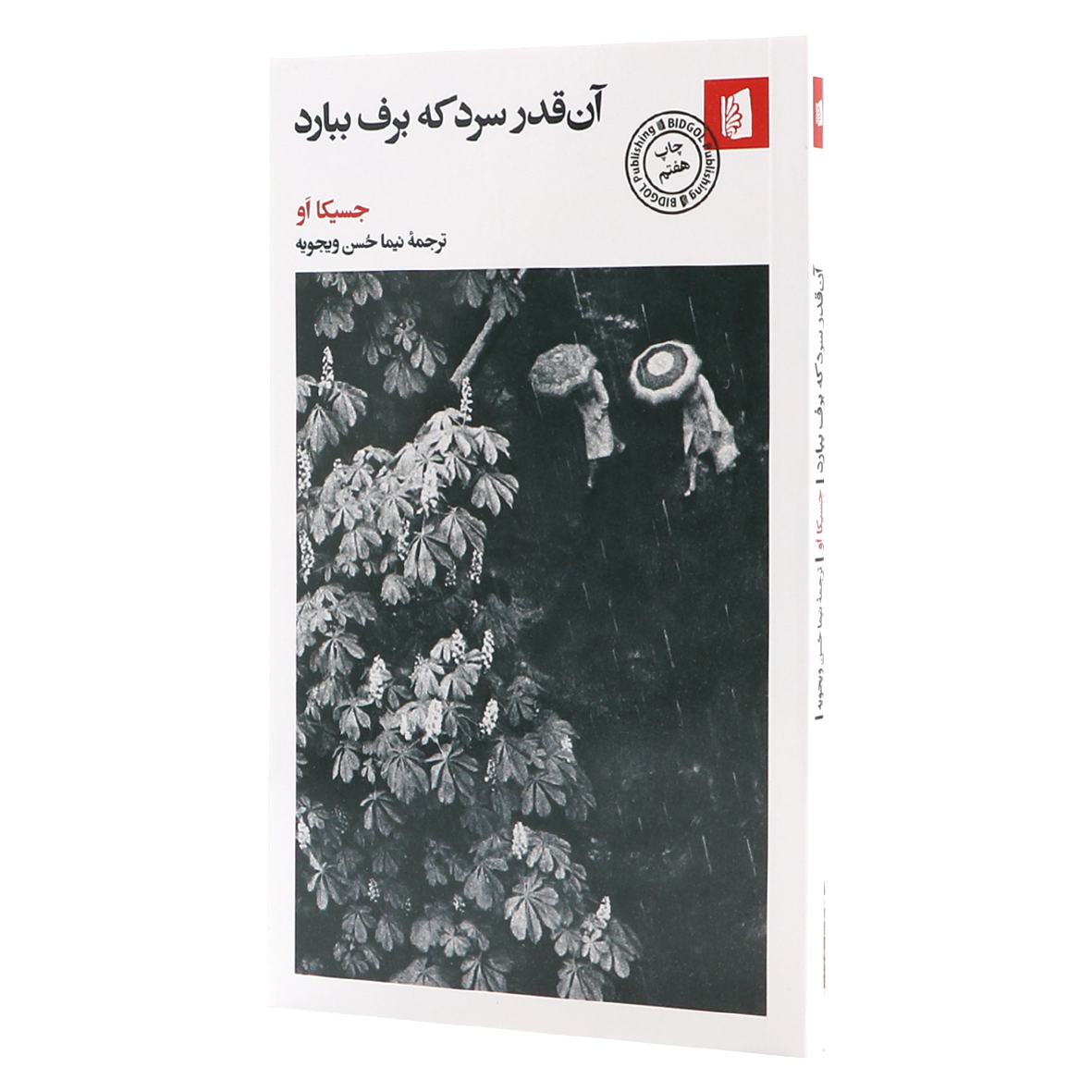 کتاب آن قدر سرد که برف ببارد