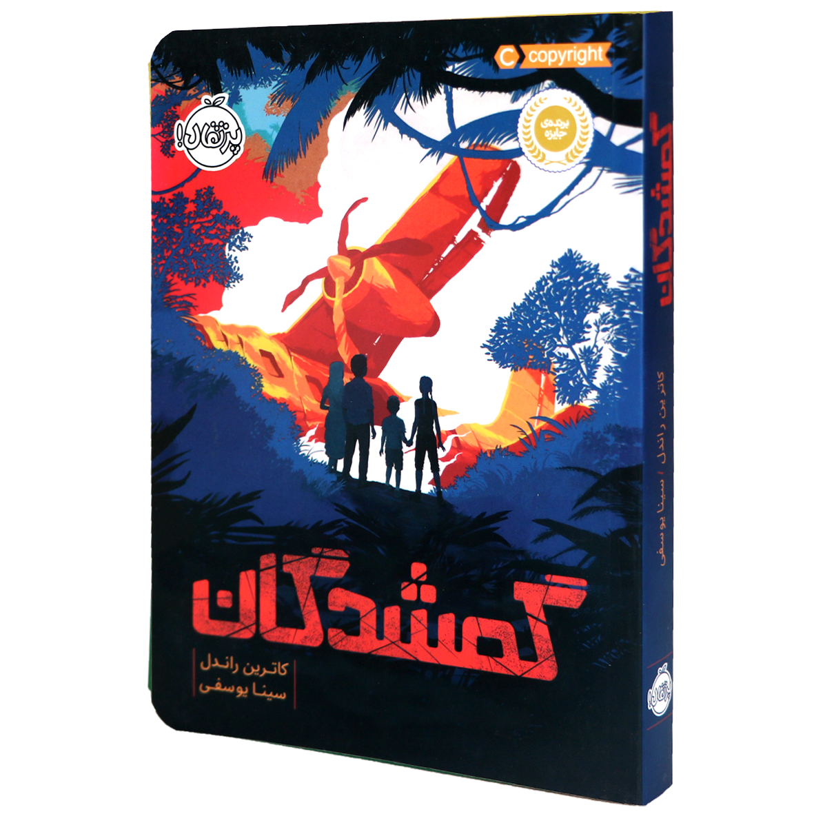 کتاب گمشدگان