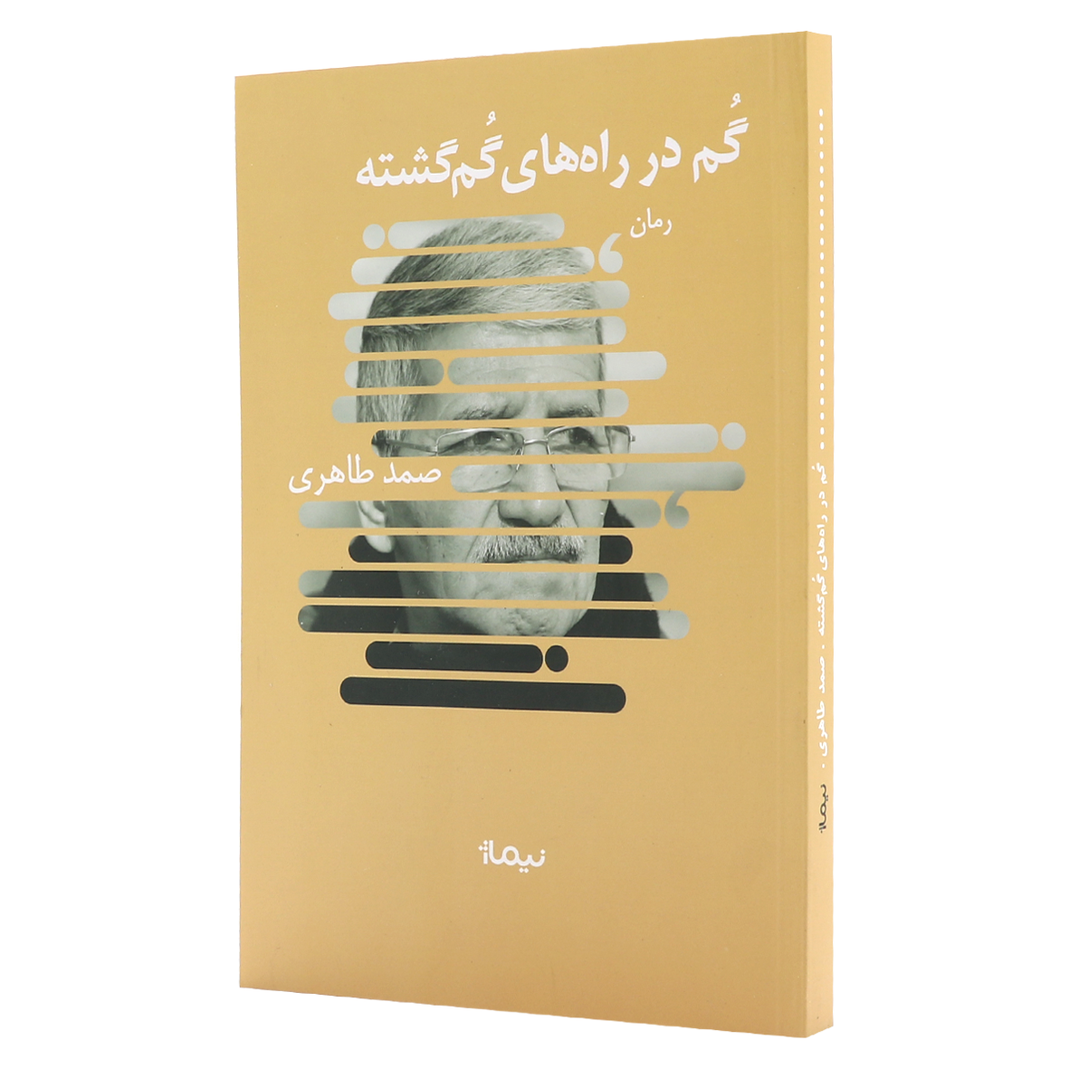 کتاب گم در راه‌های گم‌گشته