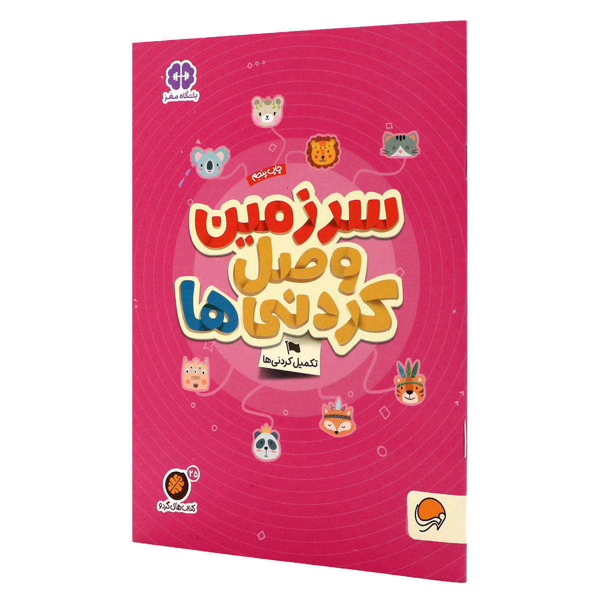کتاب های گردو جلد ۲۵ سرزمین وصل کردنی ها