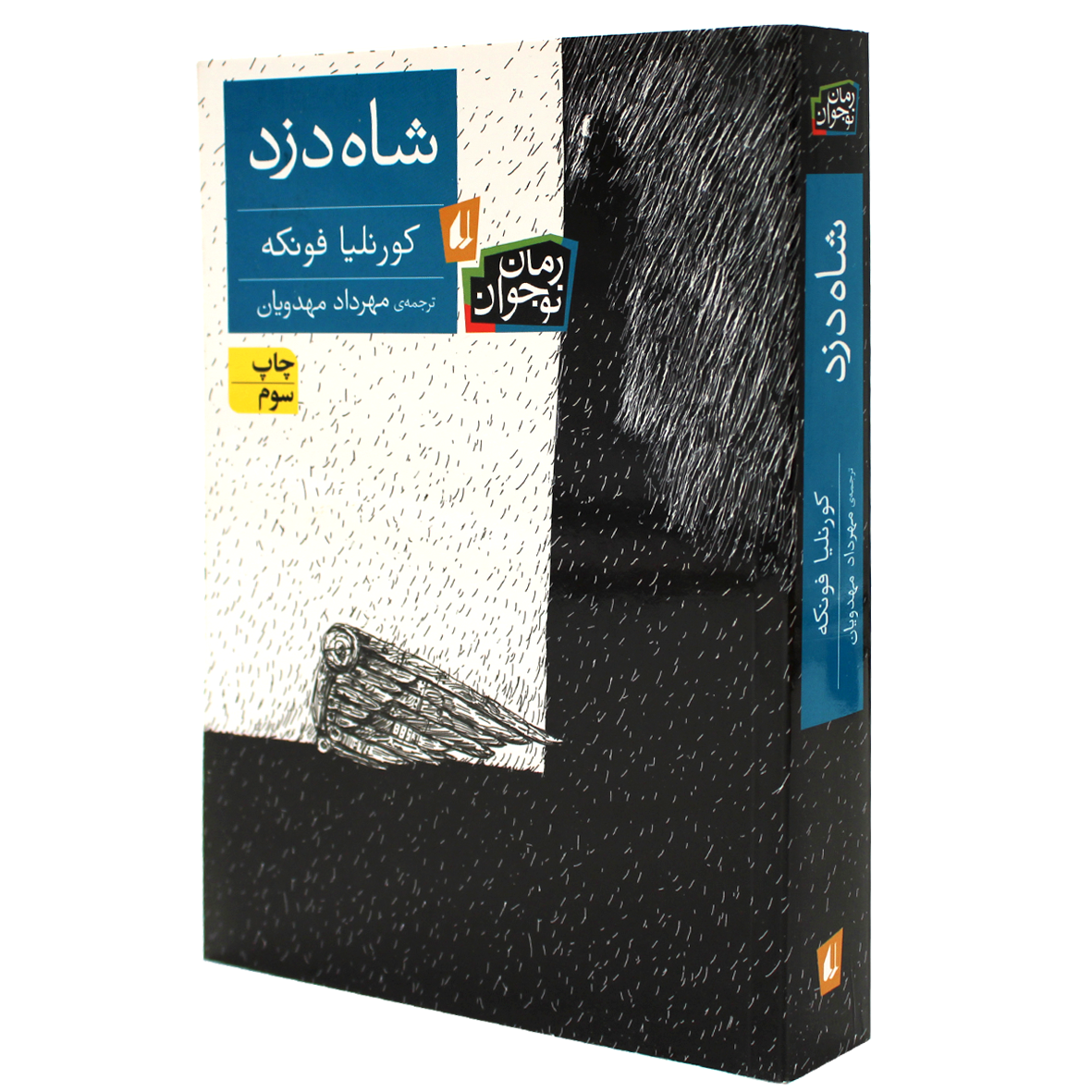 کتاب شاه دزد