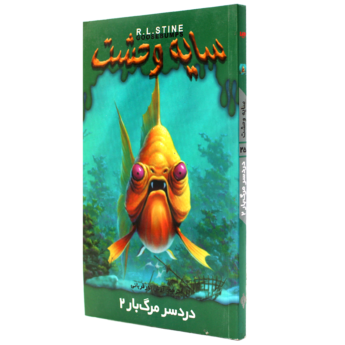 کتاب سایه وحشت جلد 25 دردسر مرگ‌ بار 2