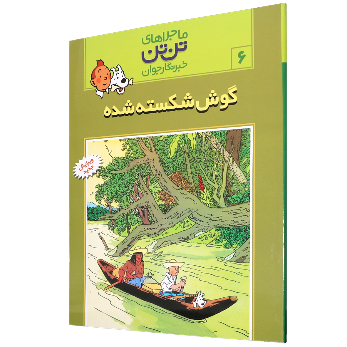 کتاب گوش شکسته شده