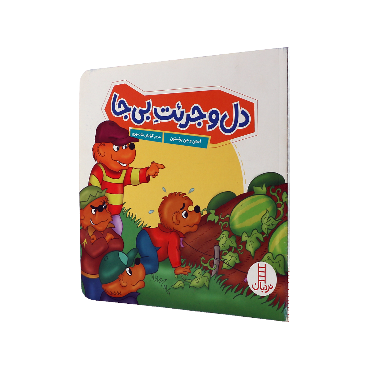 کتاب دل و جرئت بی جا